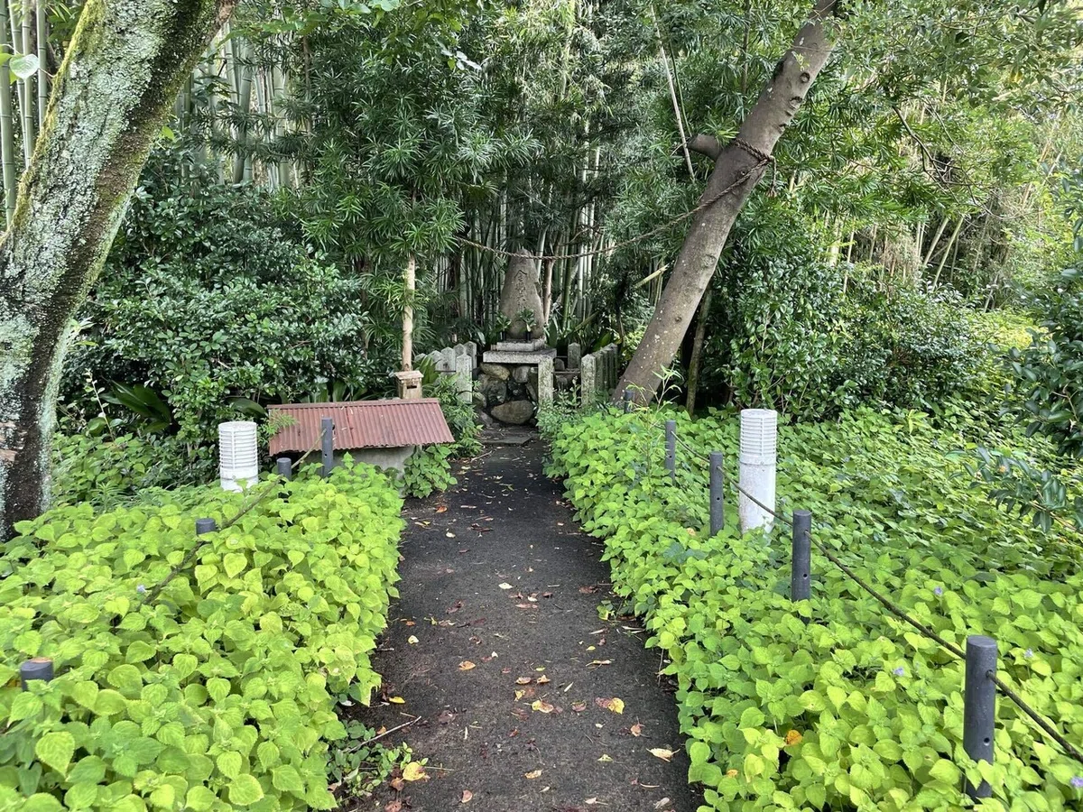 画像181