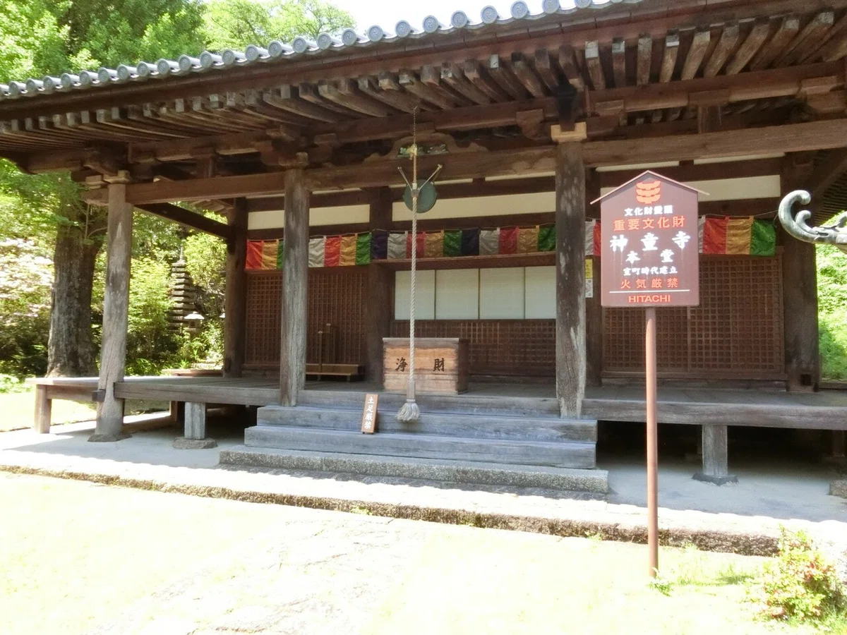 画像7