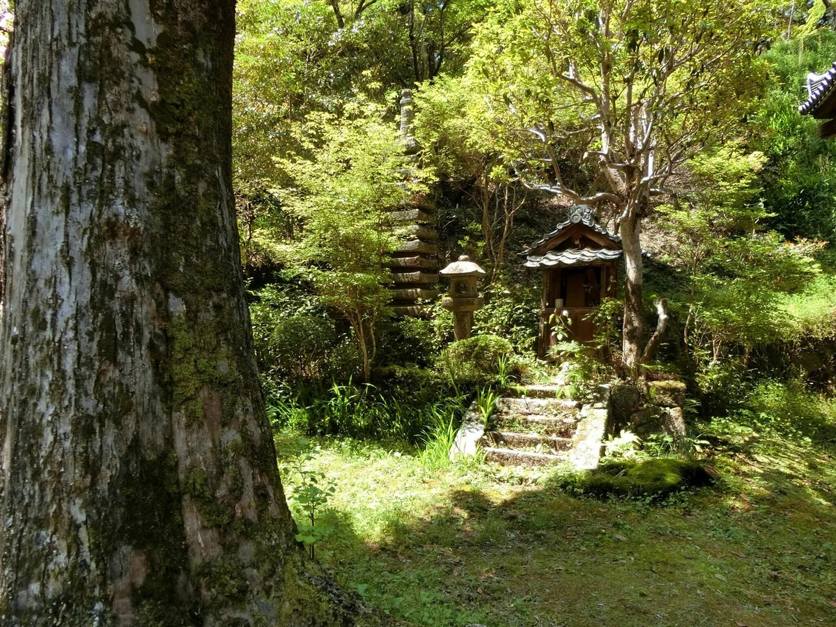 画像8