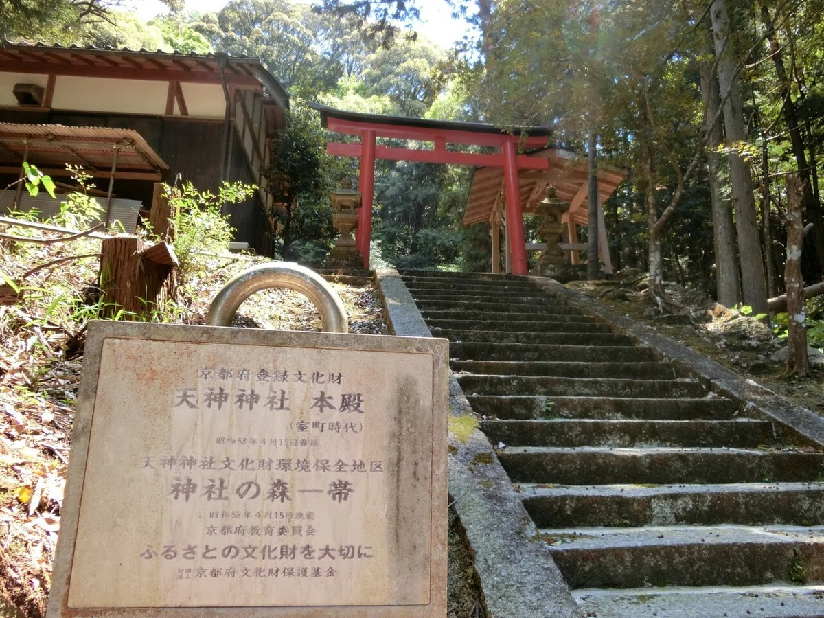 画像12