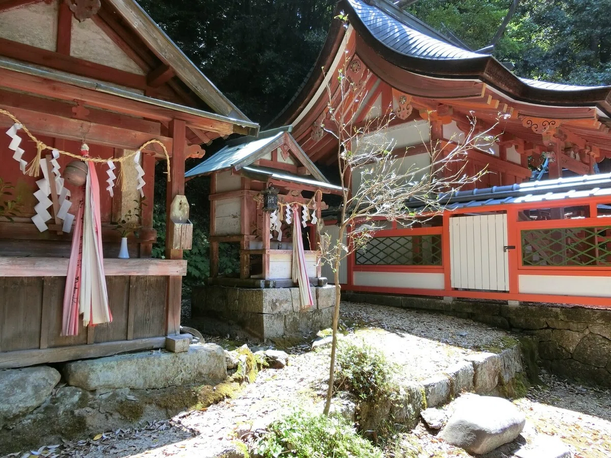 画像14