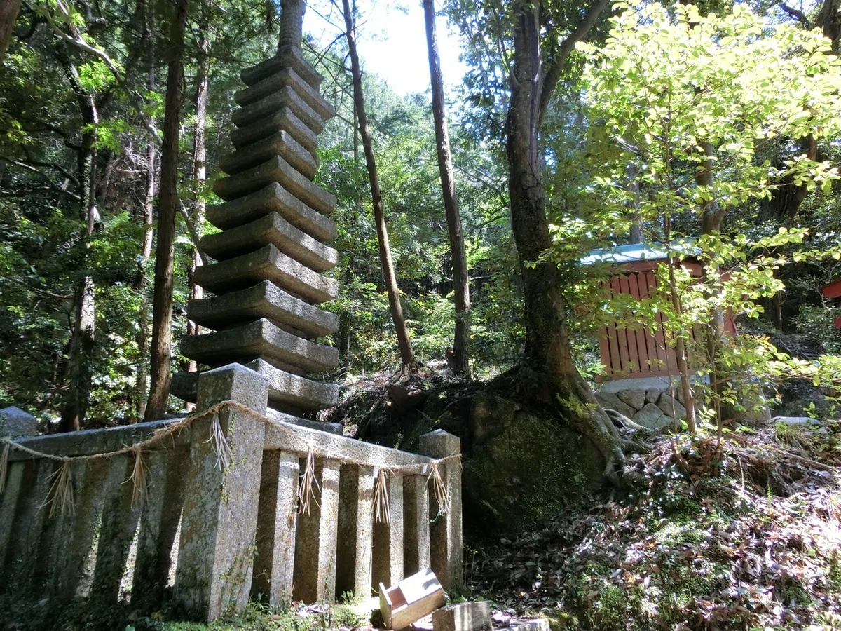 画像15