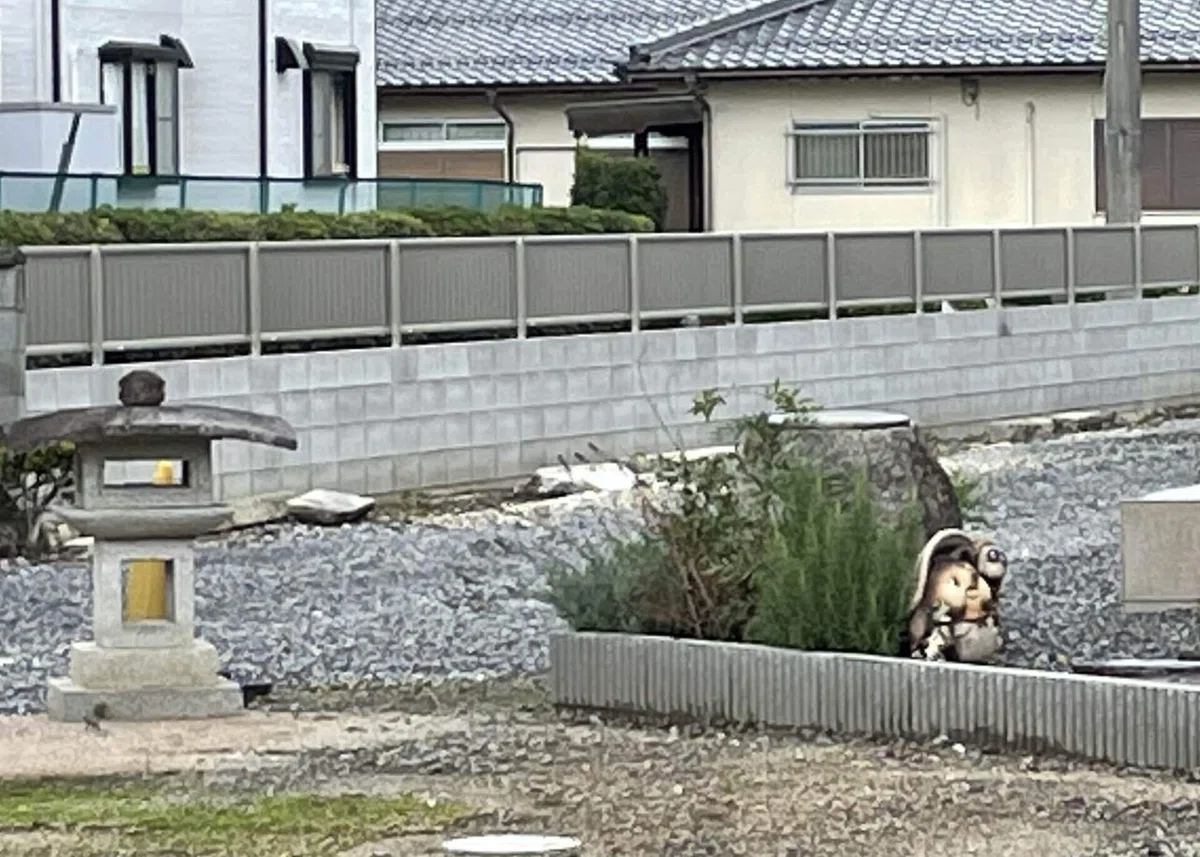画像202