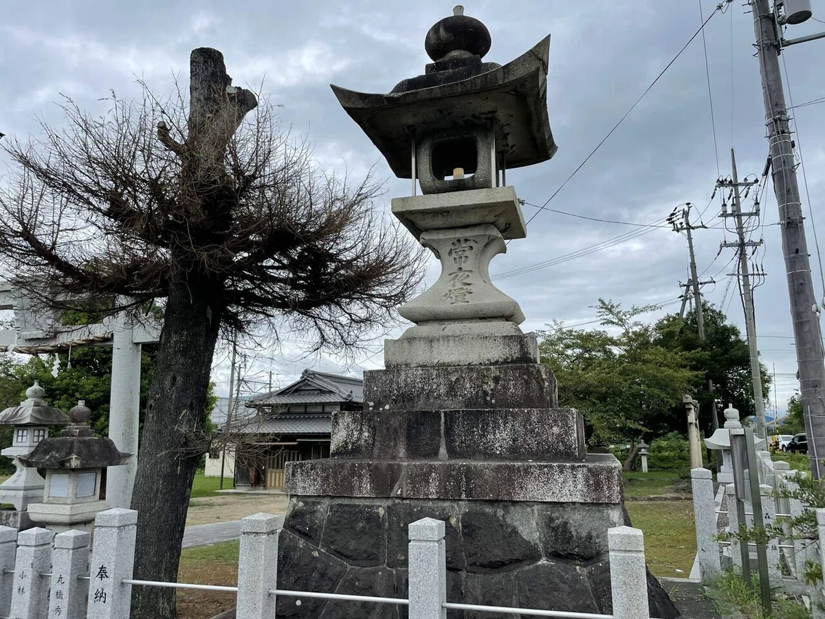 画像228