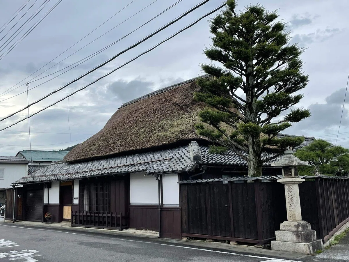 画像244