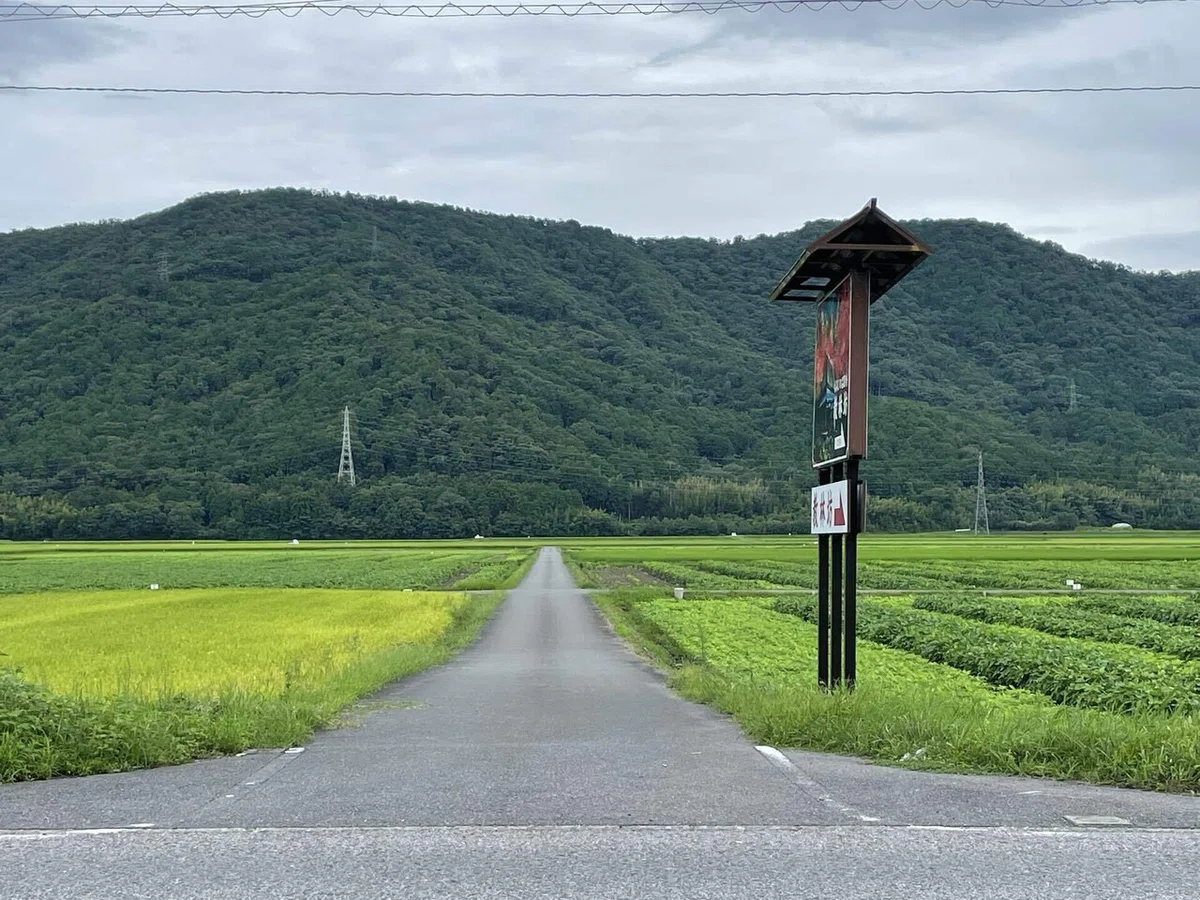 画像249