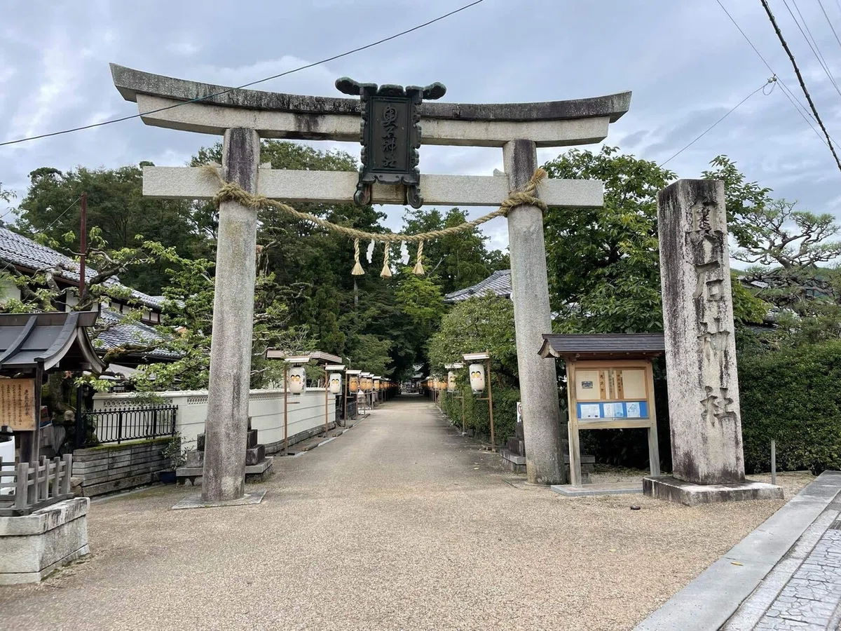 画像251