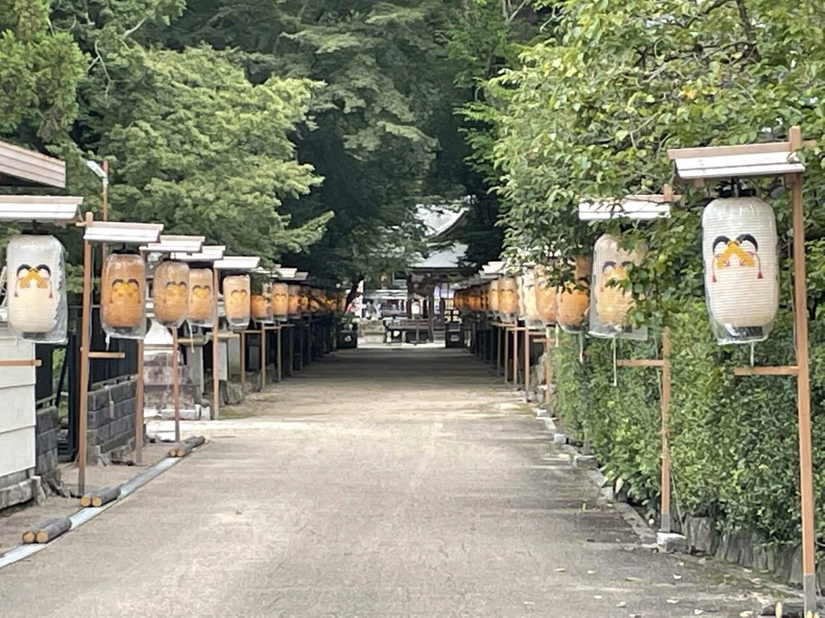 画像252