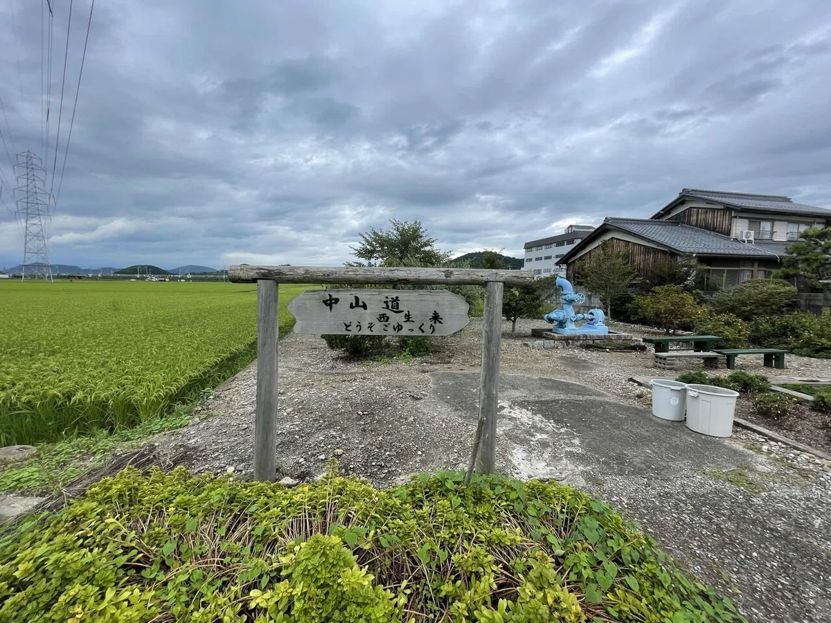 画像255