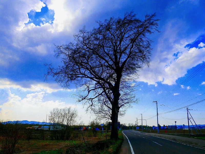 特別賞 37.見守る