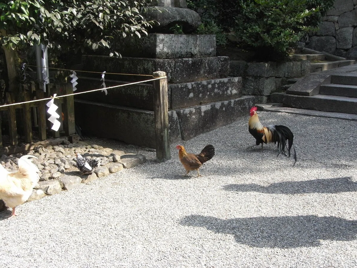 画像3