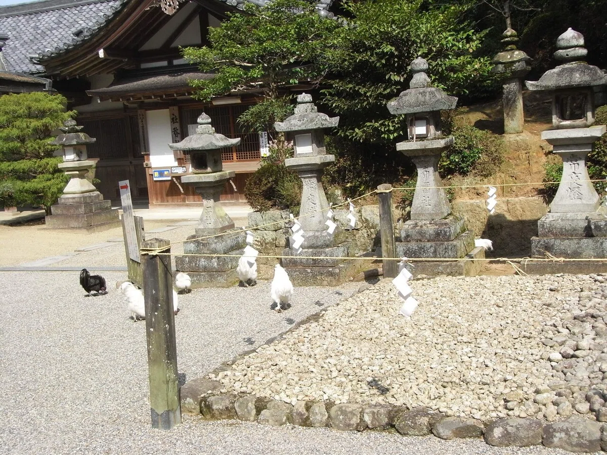画像4