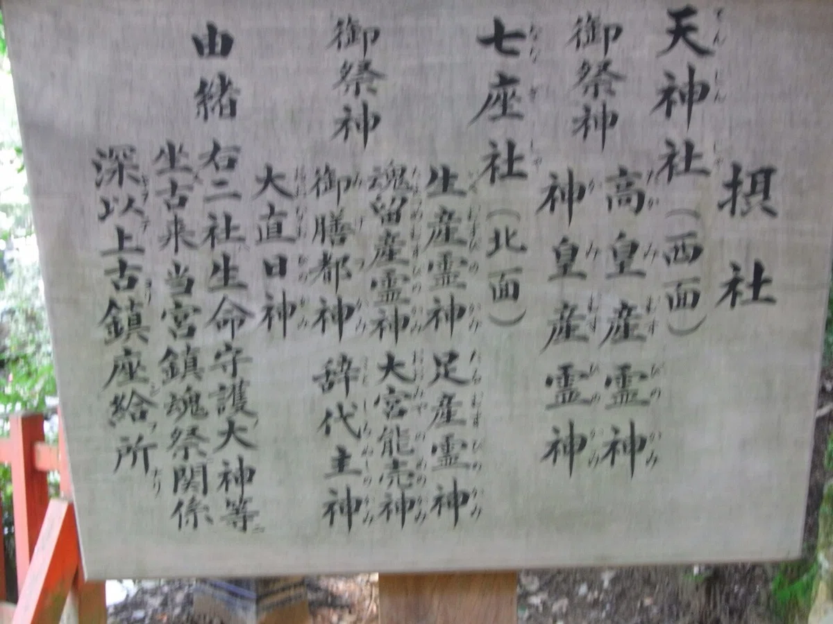 画像7