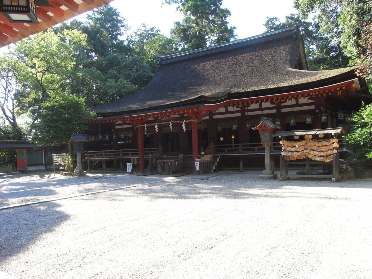 画像9