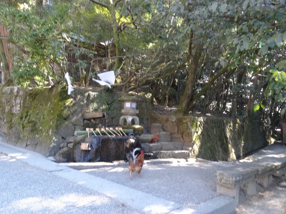 画像14