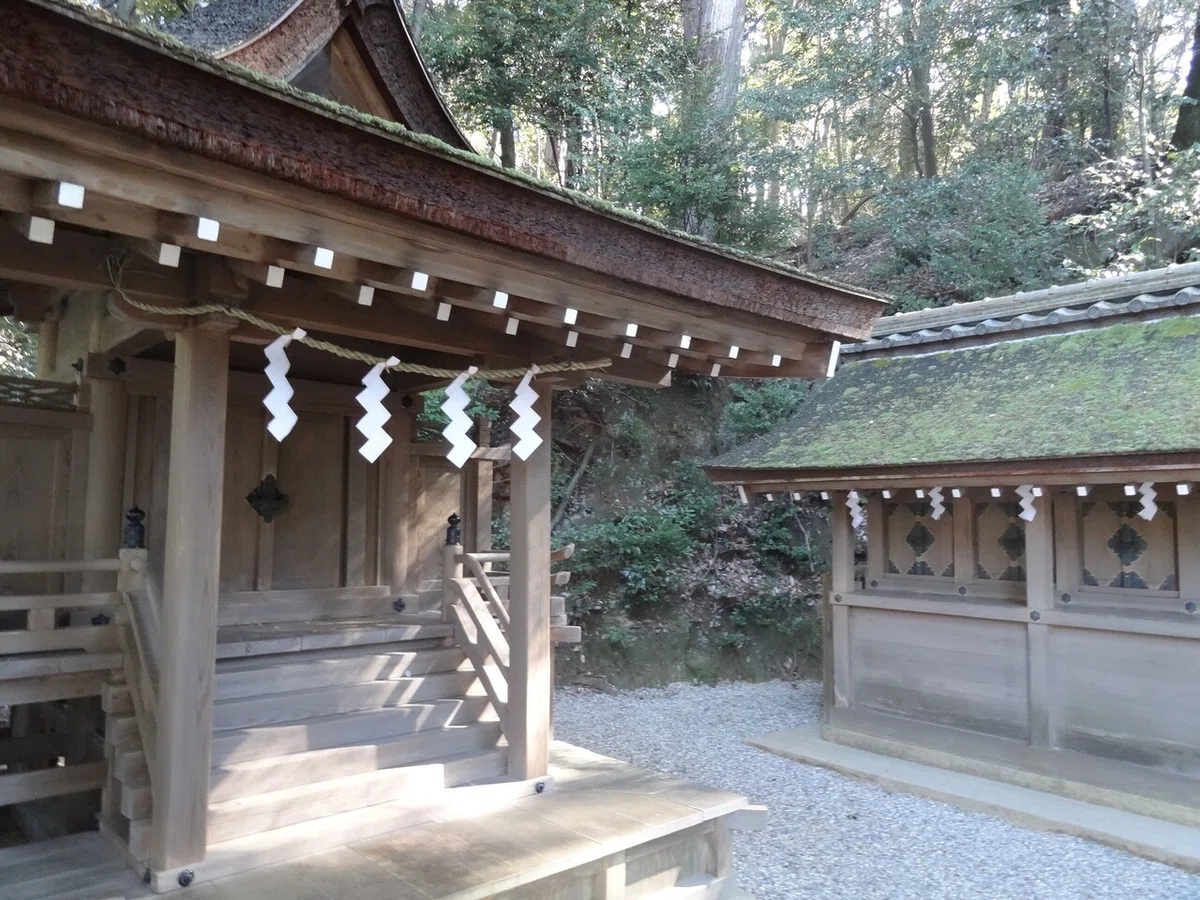 画像19