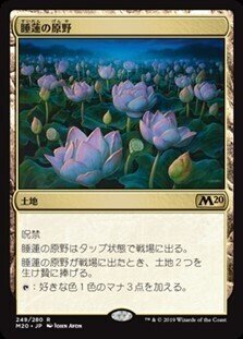 ロータスコンボ】パイオニアチャレンジャーデッキ解説①【睡蓮の