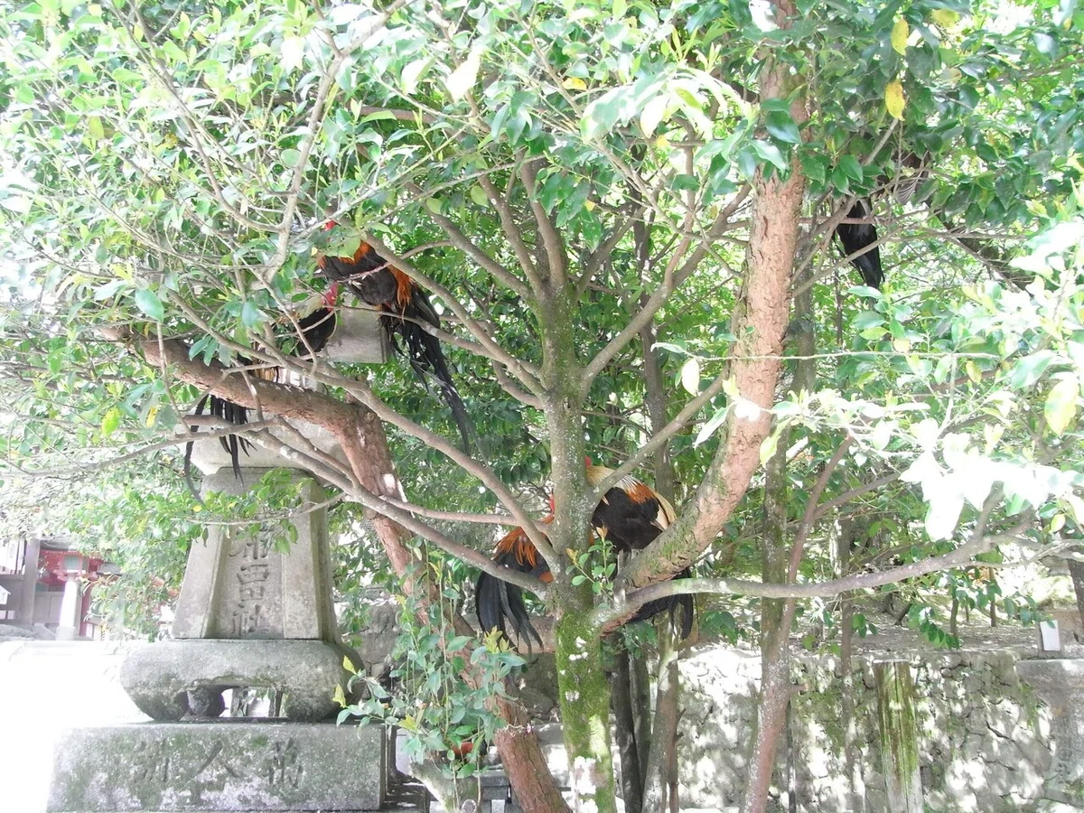 画像23