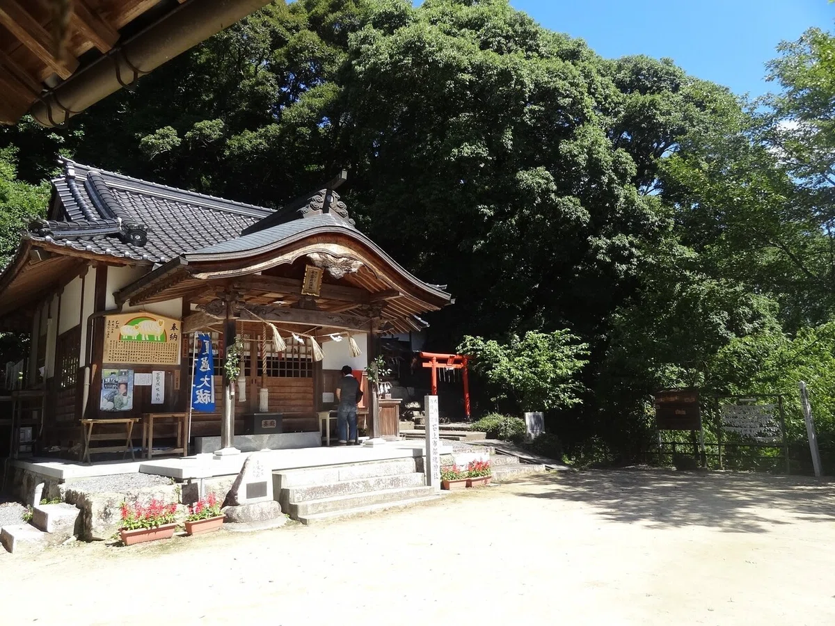 画像28