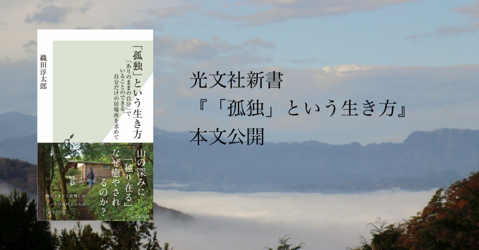 独りになることで なぜ癒されるのか 光文社新書 独りになることで なぜ癒されるのか 光文社新書