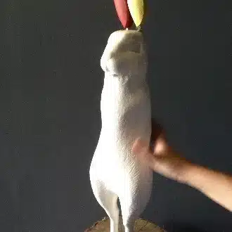 いなごの佃煮