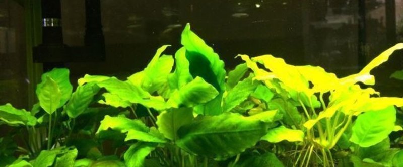 実例 洗濯物を干すのを妻に頼まれたが夫は忘れた 後 水城ゆう Note