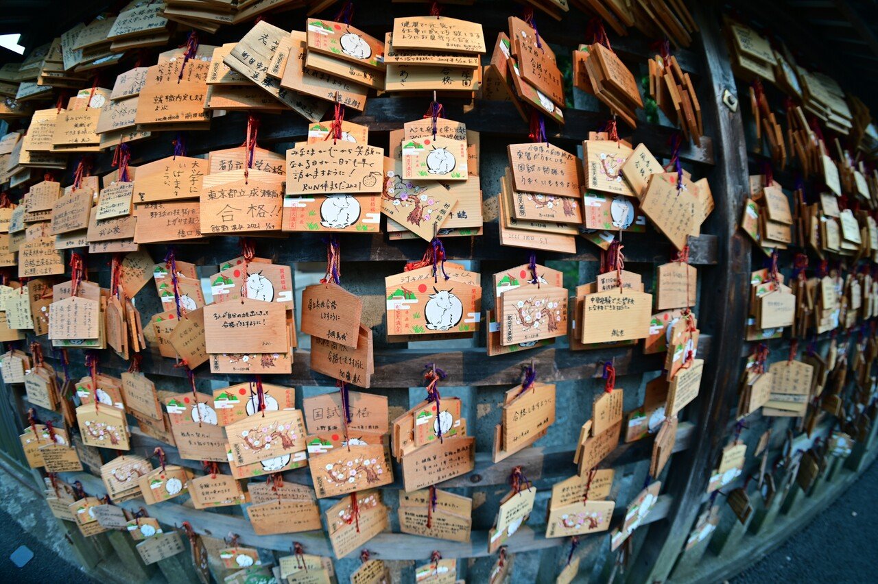 魚眼レンズ　中華製　ほぼ新品 Amazon | Opteka 0.3X Ultra Fisheye オプテカ ウルトラ