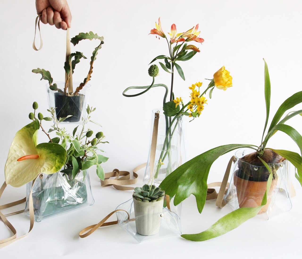 9 12 日 Plants Collective Vol 4 開催 Bonus Track News Note