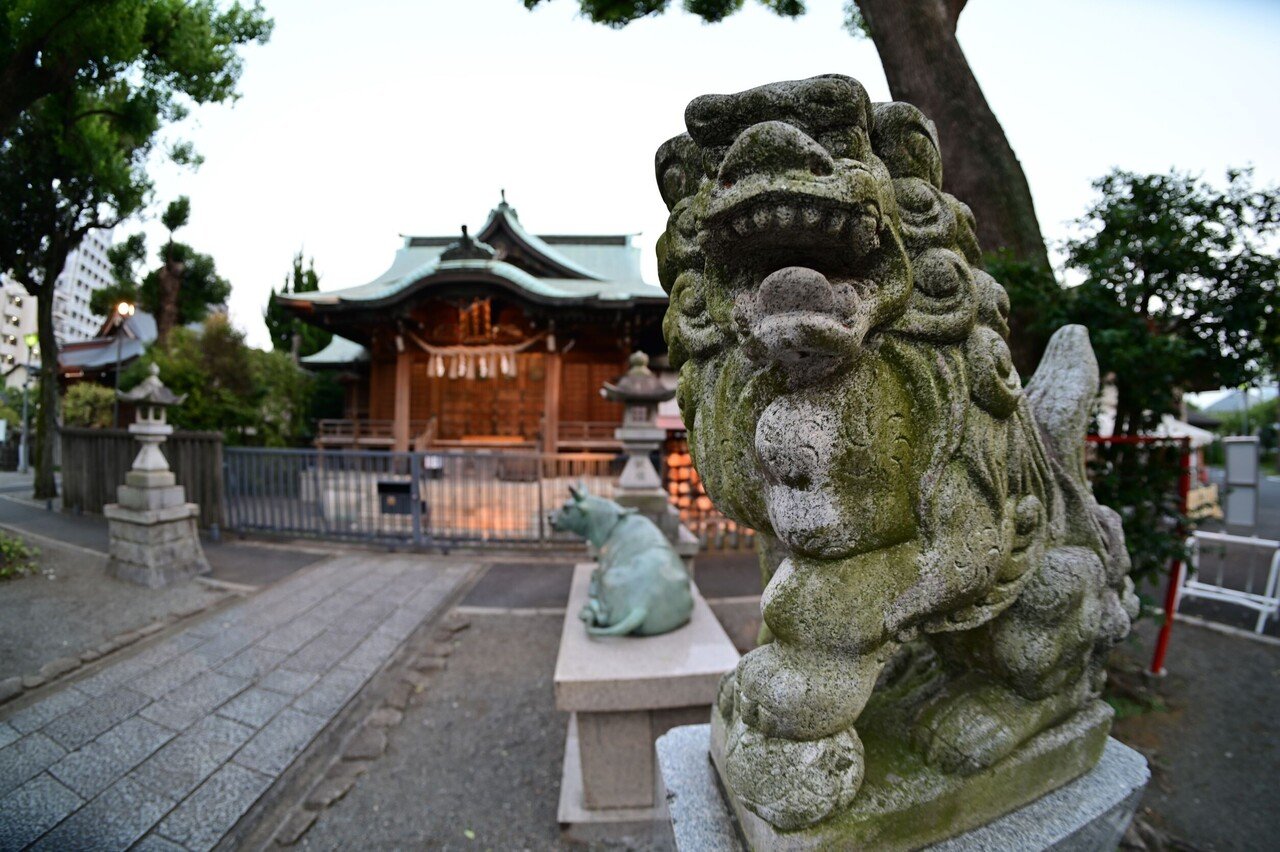 中華レンズの世界 Vol.3 魚眼レンズ｜レンズ豆（マニアックカメラ講座）