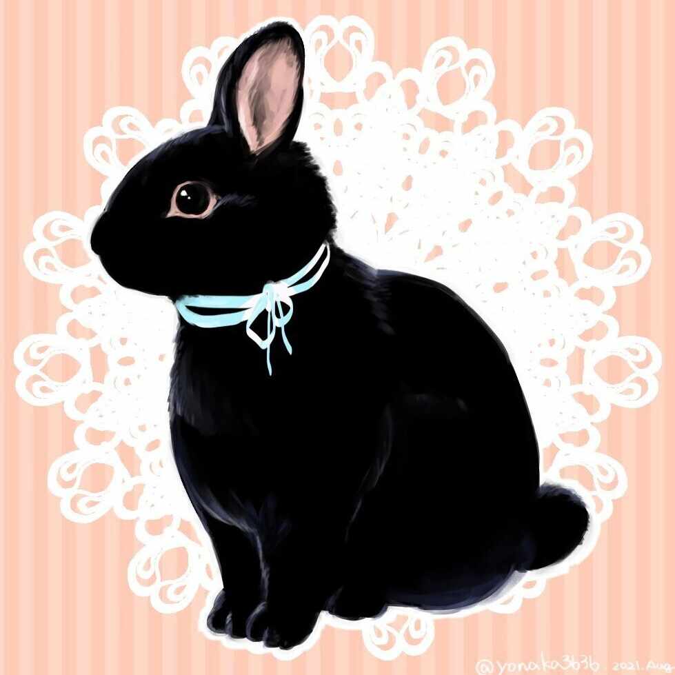 兎月おりちゃん