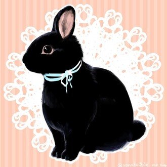 兎月おりちゃん