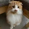 春風裕