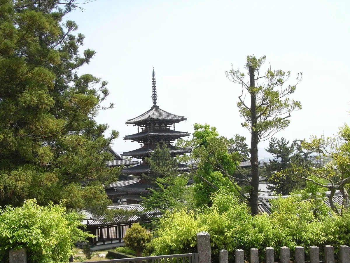画像5