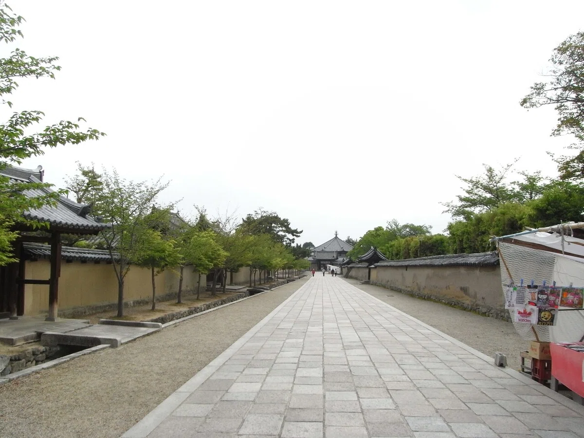 画像17