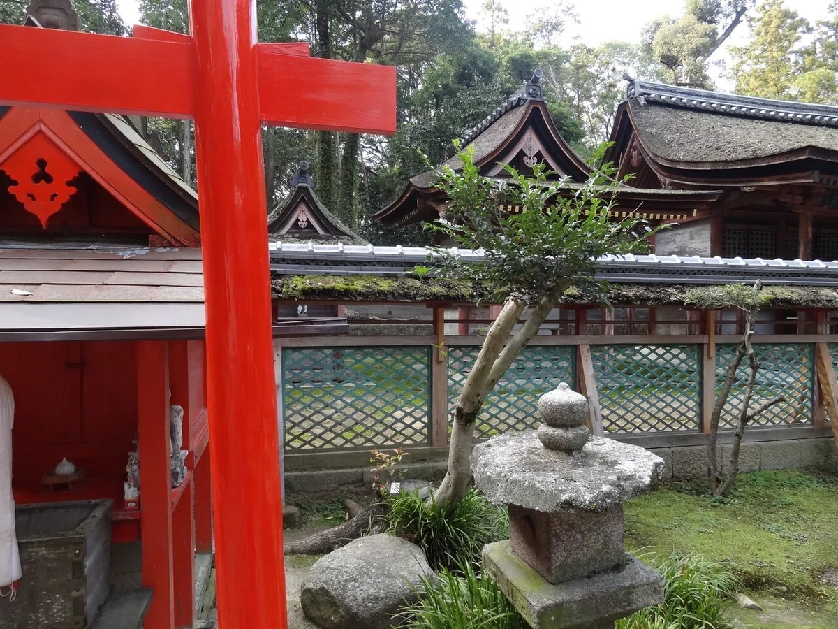 画像5