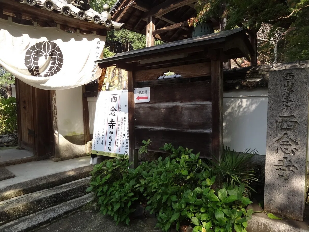 画像6