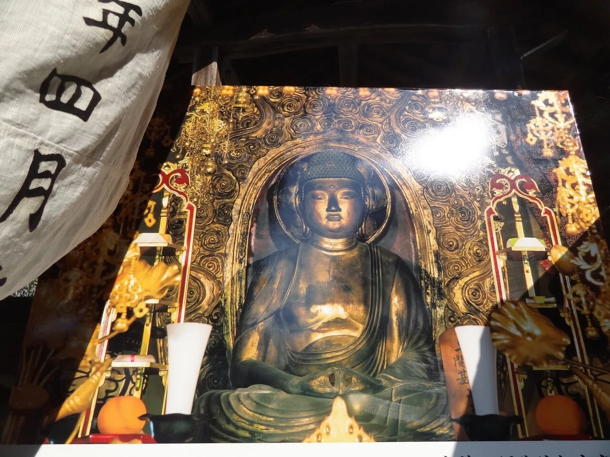 画像7