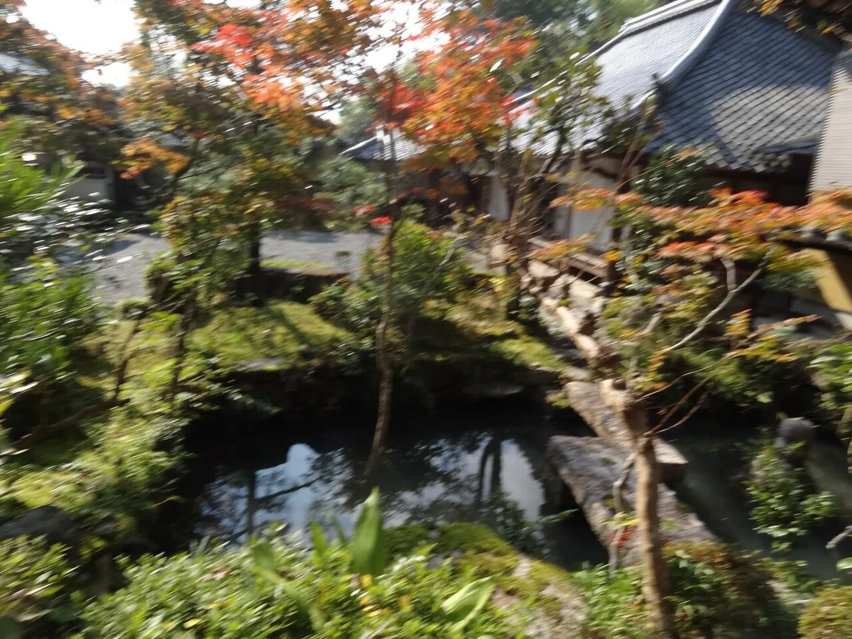 画像8