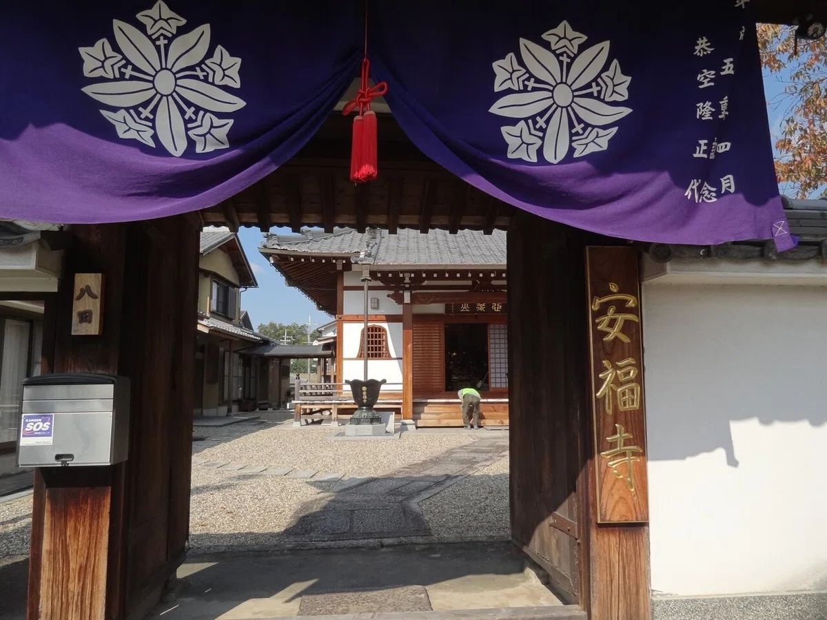 画像9