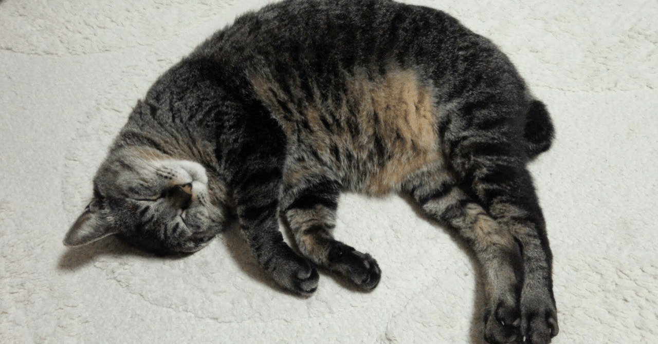 よく寝る大人は出世する ほーりー Note