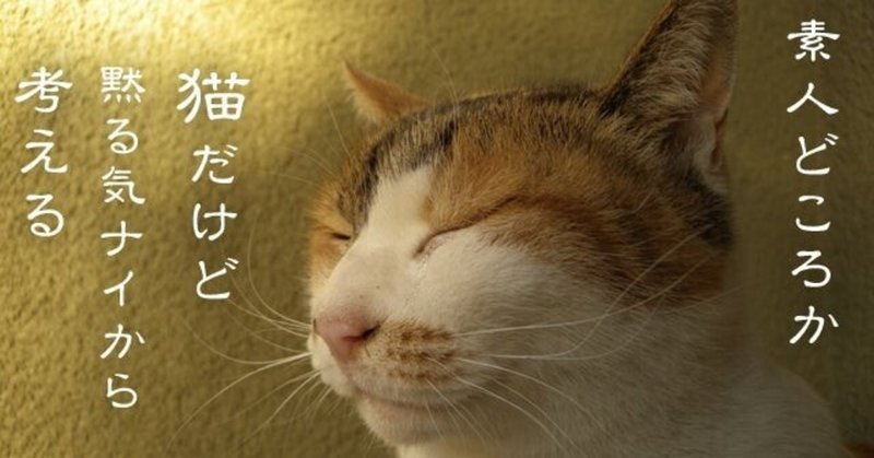 ヘンリーフォード の新着タグ記事一覧 Note つくる つながる とどける ヘンリーフォード の新着タグ記事一覧 Note つくる つながる とどける