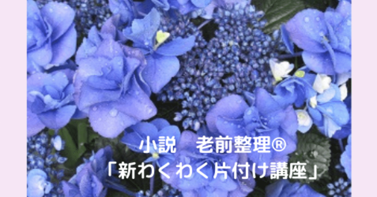 23章 男やもめに花を咲かそう 前編 Ammonite Note