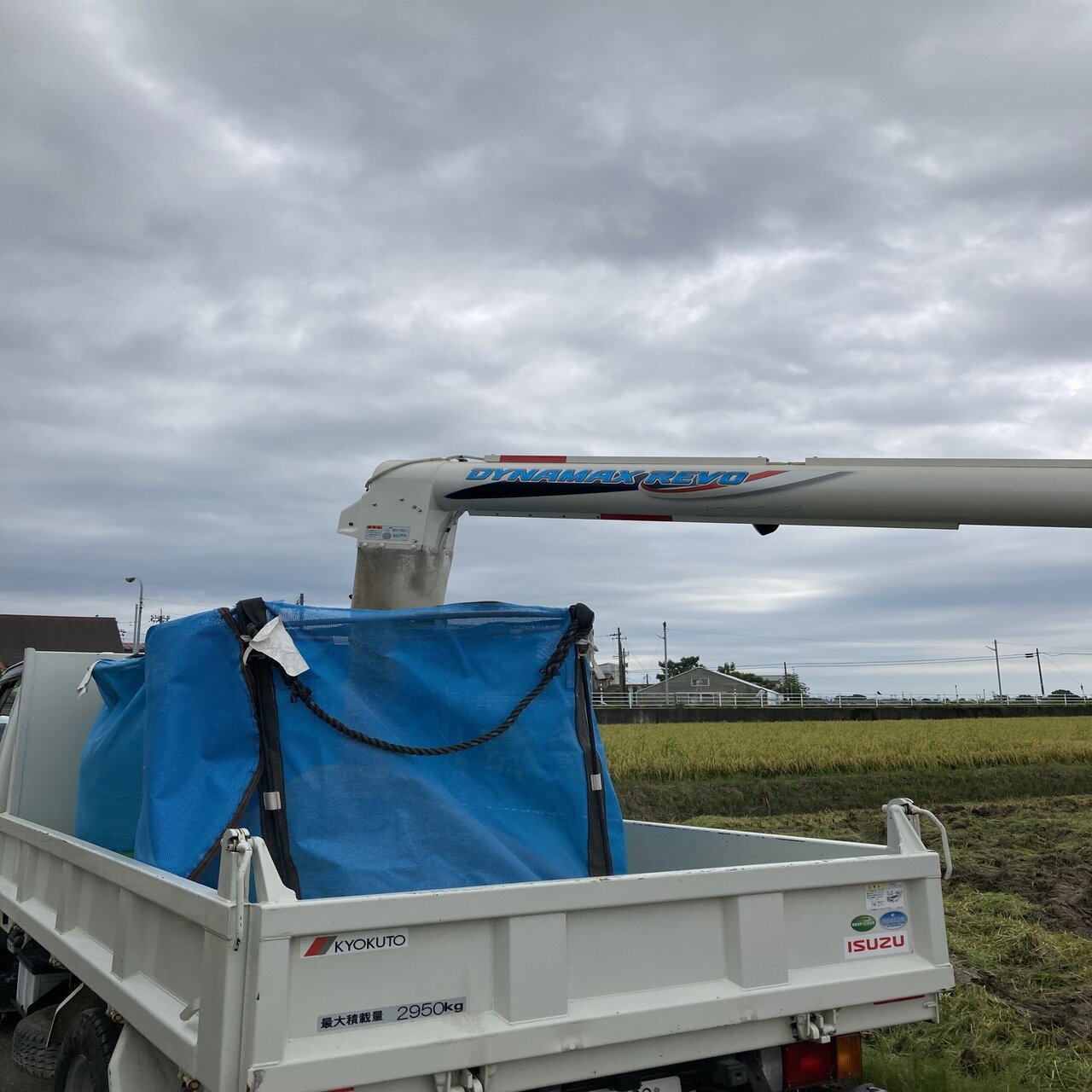 稲刈り→脱穀→乾燥→もみすり→玄米｜稲ほ舎