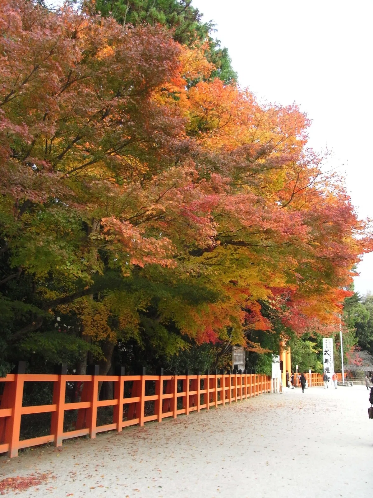 画像6