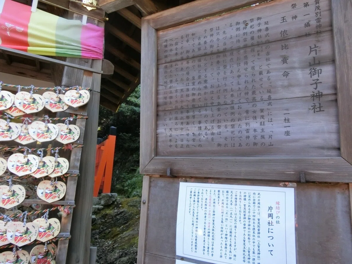 画像12