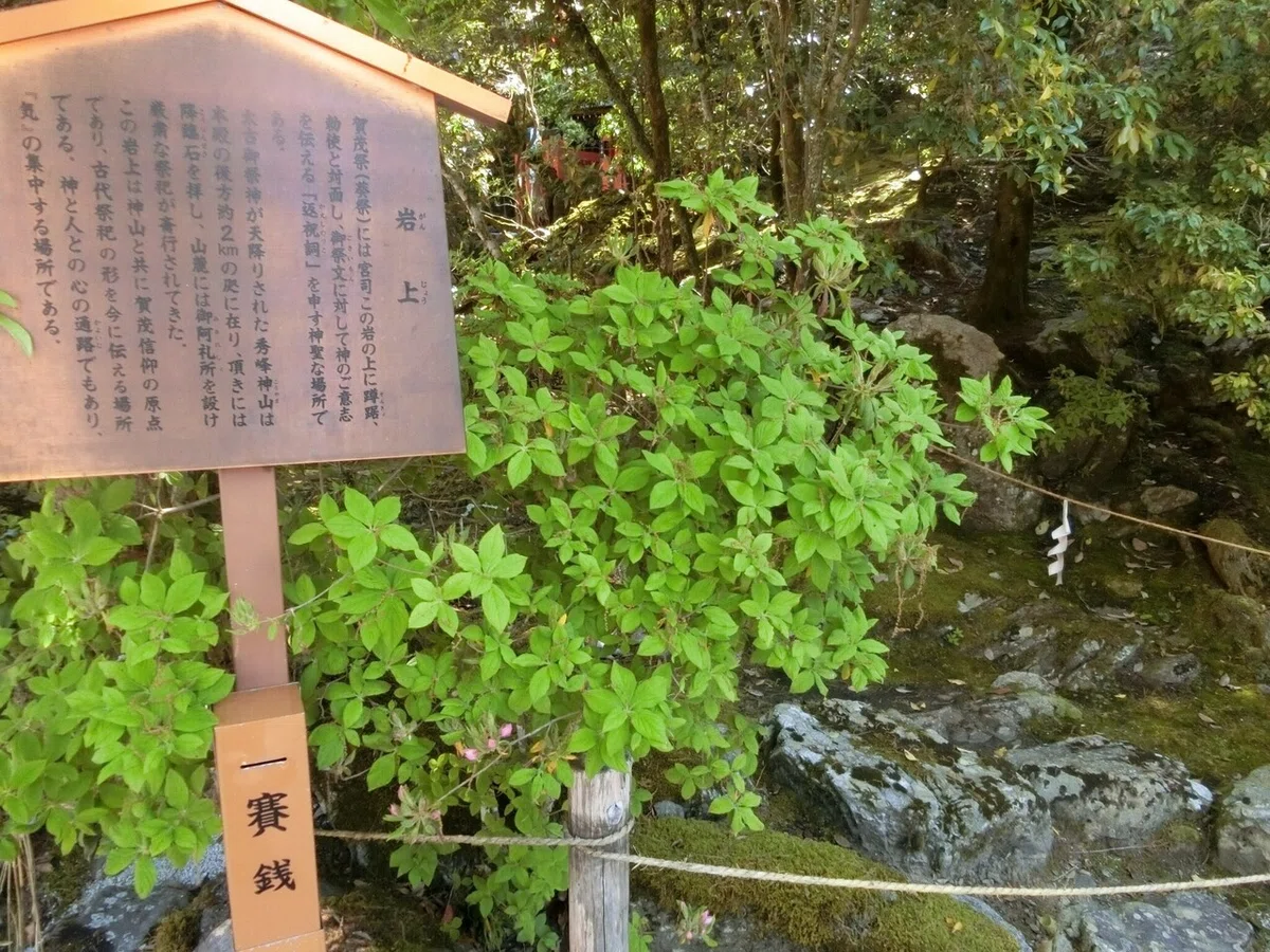 画像13
