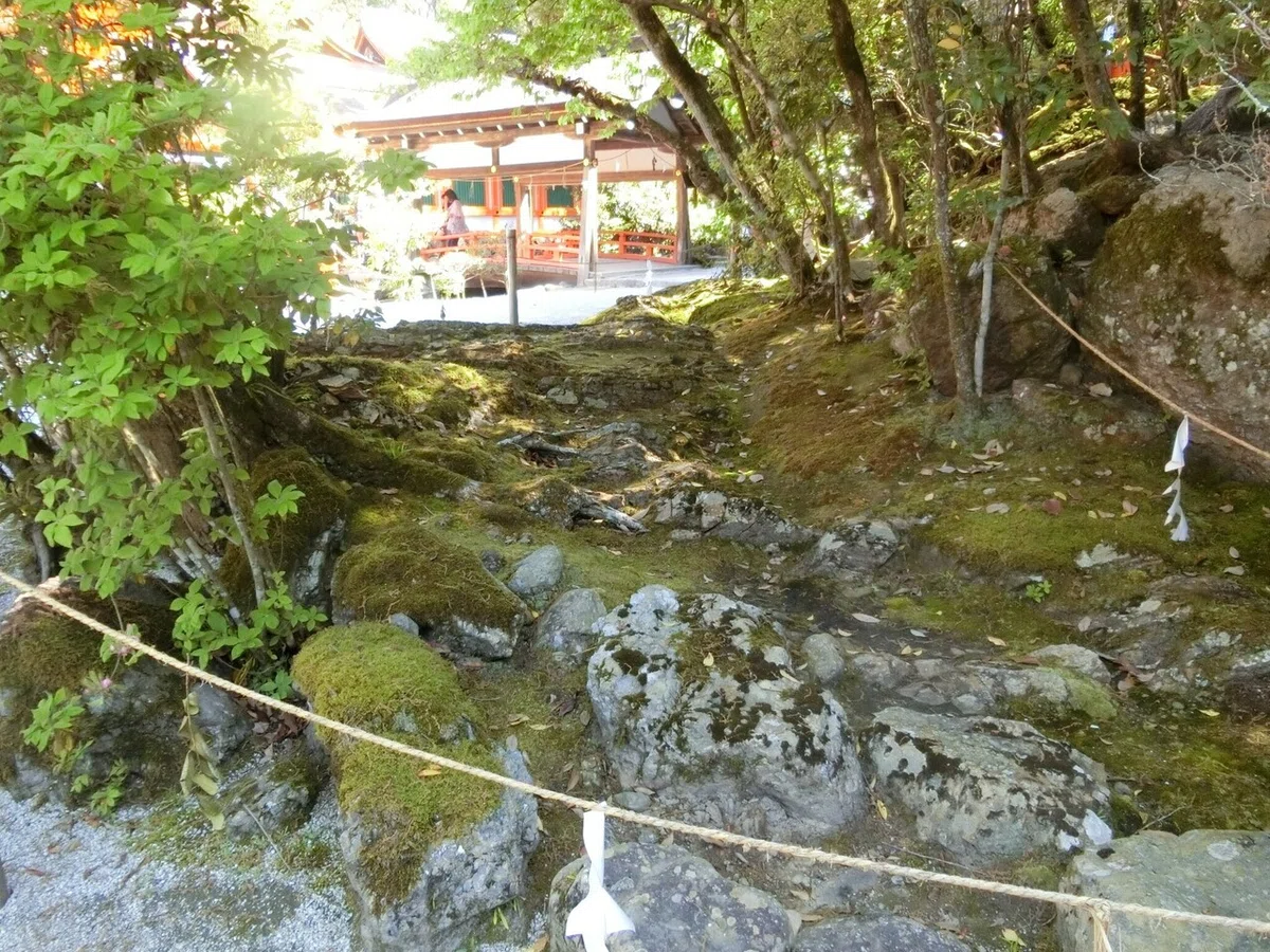 画像14