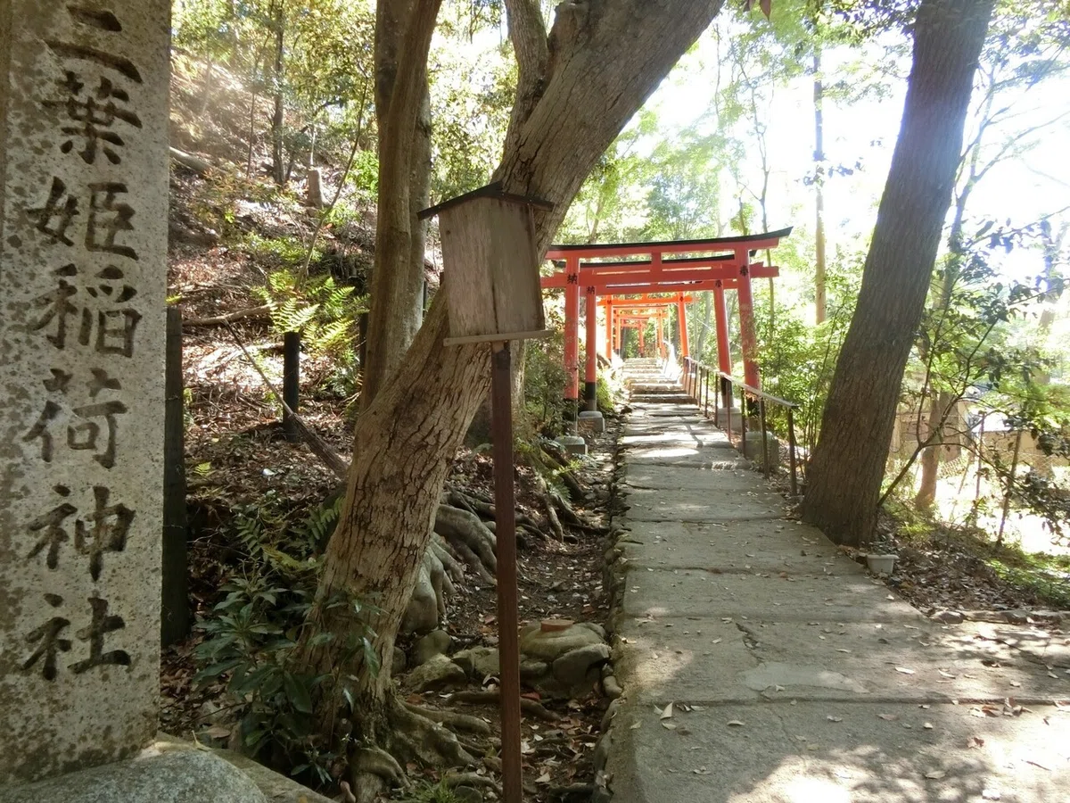 画像18