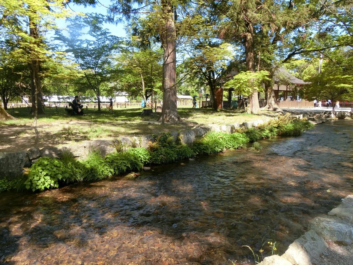 画像25