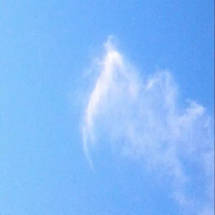 おおぐちおさむ！でございます